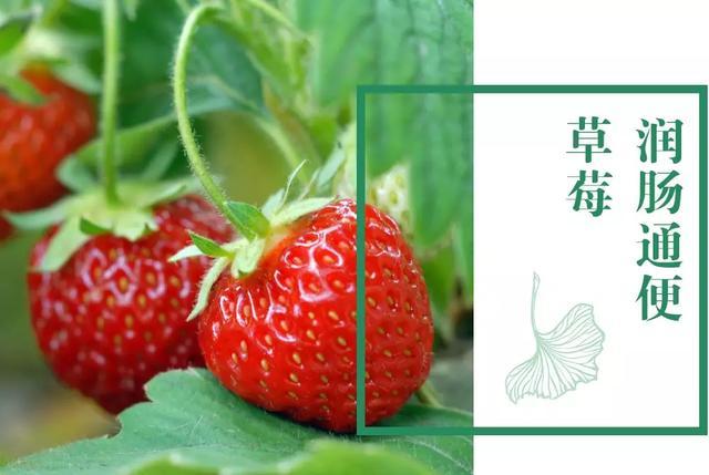 新年养生,吃1白补肾,吃2红护肝补血,吃3绿养心!助你吃出好身体 鹿血片 第4张 新年养生,吃1白补肾,吃2红护肝补血,吃3绿养心!助你吃出好身体 鹿血片 第4张