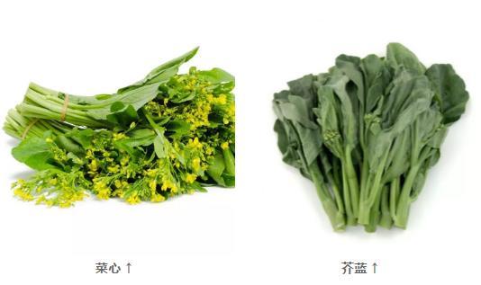 新年养生,吃1白补肾,吃2红护肝补血,吃3绿养心!助你吃出好身体 鹿血片 第7张 新年养生,吃1白补肾,吃2红护肝补血,吃3绿养心!助你吃出好身体 鹿血片 第7张