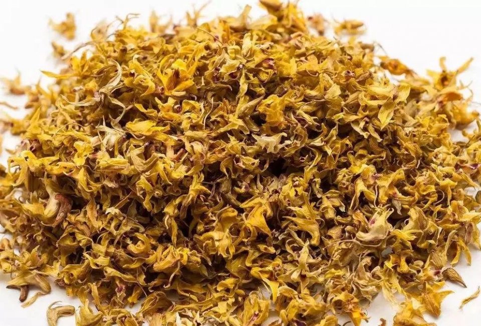 冬日养生贵在藏，补肾健脾胃是关键 鹿血片 第7张