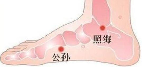 冬日养生贵在藏，补肾健脾胃是关键 鹿血片 第9张