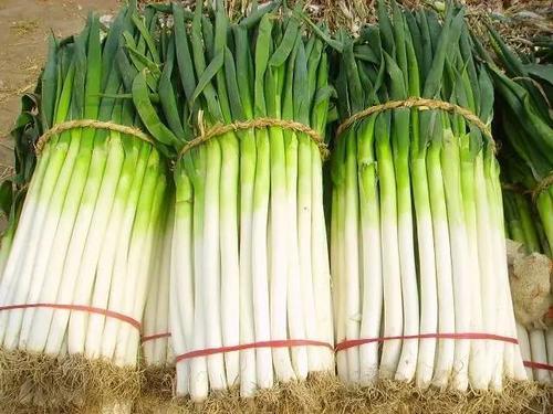 怎么壮阳补肾？食补养生达人教你 鹿血片 第3张