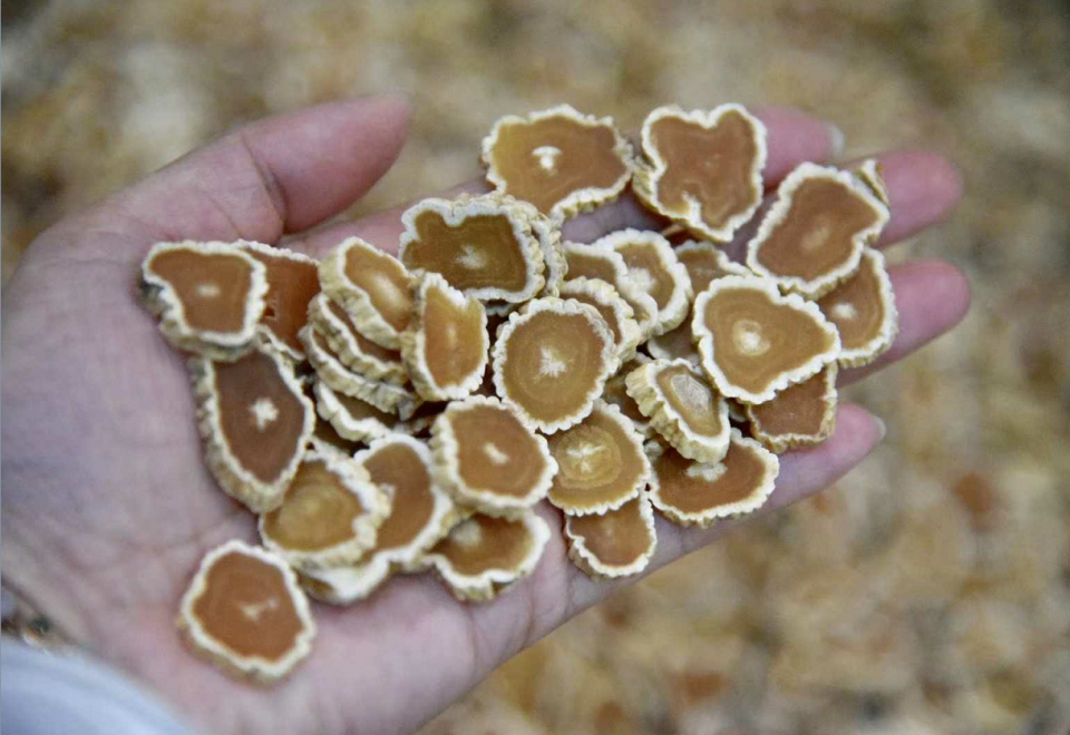 怎么壮阳补肾？食补养生达人教你 鹿血片 第4张