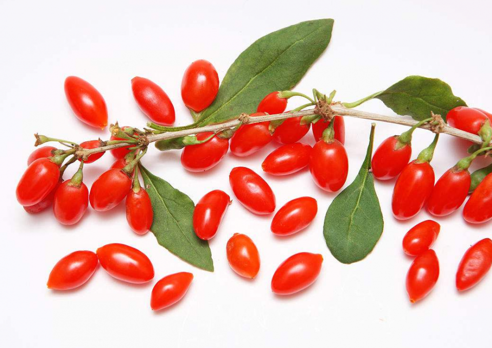 老中医:枸杞搭个“宝”,男人泡着喝,健康养生,补肾“神仙水” 鹿血片 第2张 老中医:枸杞搭个“宝”,男人泡着喝,健康养生,补肾“神仙水” 鹿血片 第2张