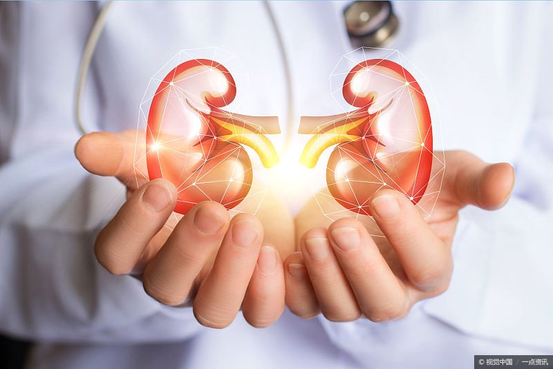 男人肾虚了怎么办?送你3款食疗小妙方,补肾又养生 鹿血片 第1张 男人肾虚了怎么办?送你3款食疗小妙方,补肾又养生 鹿血片 第1张