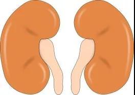 养足精气是男人养生的重中之重——补肾益精十法！ 鹿血片 第1张