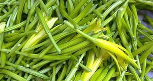 人到中年想养生,以下食物别放过,具有滋阴补肾,补血益气 鹿血片 第2张 人到中年想养生,以下食物别放过,具有滋阴补肾,补血益气 鹿血片 第2张