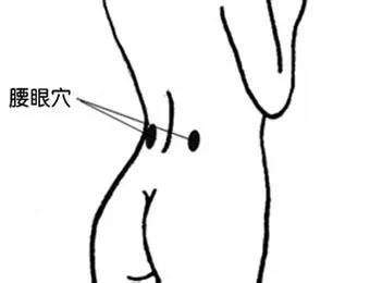 养生文化:补肾十四法 鹿血片 第2张 养生文化:补肾十四法 鹿血片 第2张