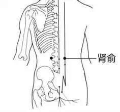 养生文化:补肾十四法 鹿血片 第4张 养生文化:补肾十四法 鹿血片 第4张