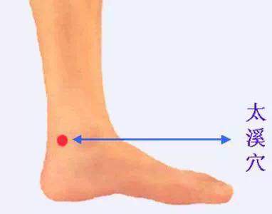 养生文化:补肾十四法 鹿血片 第5张 养生文化:补肾十四法 鹿血片 第5张