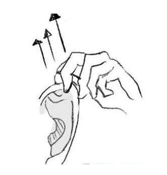 养生文化:补肾十四法 鹿血片 第9张 养生文化:补肾十四法 鹿血片 第9张