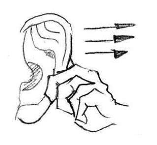 养生文化:补肾十四法 鹿血片 第7张 养生文化:补肾十四法 鹿血片 第7张