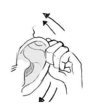 养生文化:补肾十四法 鹿血片 第8张 养生文化:补肾十四法 鹿血片 第8张