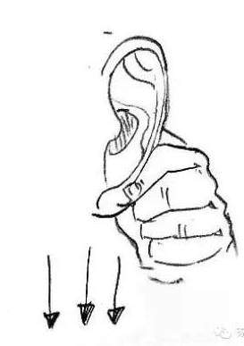 养生文化:补肾十四法 鹿血片 第10张 养生文化:补肾十四法 鹿血片 第10张