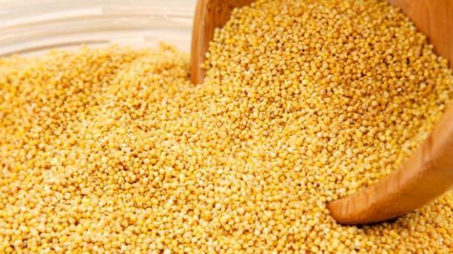 这三种你常吃的米你知道它们各自的营养价值吗？不知道就尴尬喽！ 鹿血片 第3张