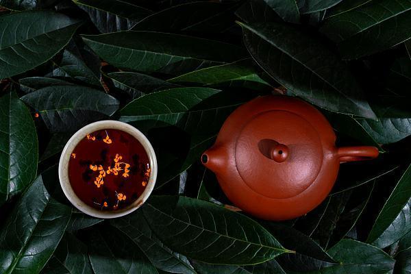 宝藏桂花呀!缓解胃疼口臭、补肾化痰,还能做成《红楼梦》同款美发油 鹿血片 第2张 宝藏桂花呀!缓解胃疼口臭、补肾化痰,还能做成《红楼梦》同款美发油 鹿血片 第2张