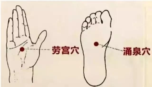 方法简单，每天五分钟，轻轻一搓，温补肾经、调和阴阳 鹿血片 第1张