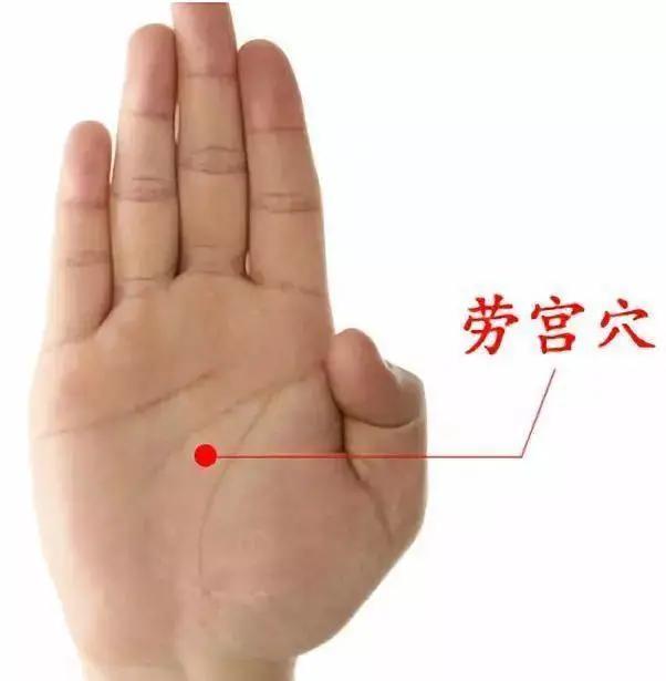 方法简单，每天五分钟，轻轻一搓，温补肾经、调和阴阳 鹿血片 第2张