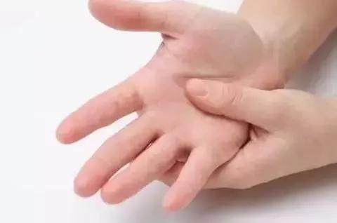 方法简单，每天五分钟，轻轻一搓，温补肾经、调和阴阳 鹿血片 第3张