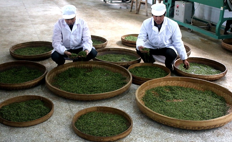 秋天的饮食调理你了解吗 鹿血片 第1张 秋天的饮食调理你了解吗 鹿血片 第1张