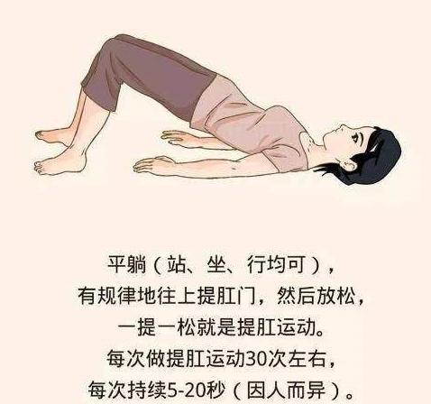 还在为痔疮、前列腺炎苦恼？提肛运动，一项受益终生的小举动 鹿血片 第5张
