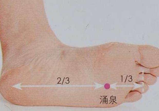 大家是否知道，我们脚底板上有个强大的“免费开关”，涌泉穴！ 鹿血片 第1张