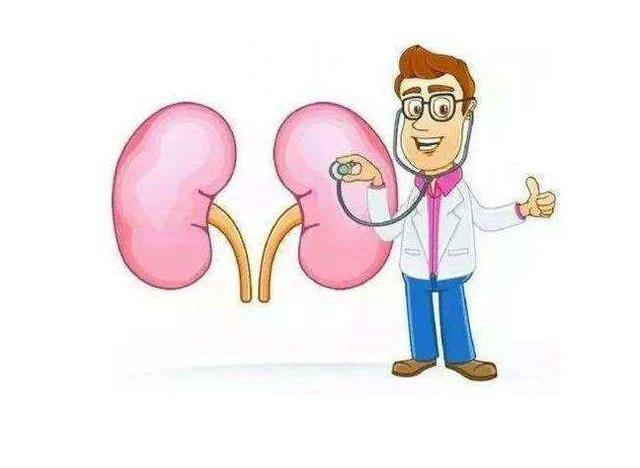 肾病不是治不好,肾病治疗的五个误区 鹿血片 第2张 肾病不是治不好,肾病治疗的五个误区 鹿血片 第2张