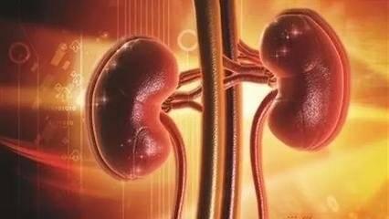 肾病不是治不好,肾病治疗的五个误区 鹿血片 第4张 肾病不是治不好,肾病治疗的五个误区 鹿血片 第4张