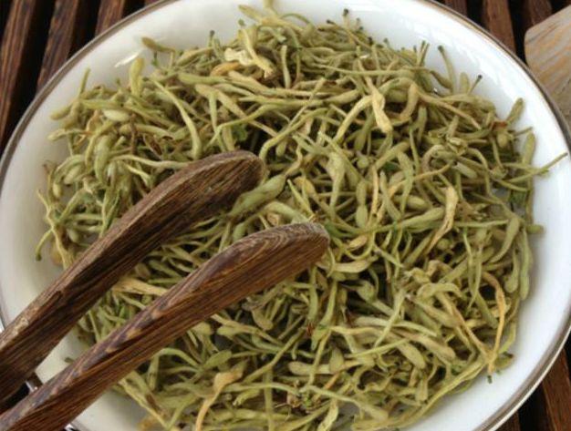 黄芪泡水加一物,女性经常喝两口,补血养颜,人也会越来越年轻 鹿血片 第3张 黄芪泡水加一物,女性经常喝两口,补血养颜,人也会越来越年轻 鹿血片 第3张