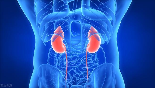 男子腰酸、肝肾功能受损,感染科医生一查,病因却是痤疮引起的 鹿血片 第2张 男子腰酸、肝肾功能受损,感染科医生一查,病因却是痤疮引起的 鹿血片 第2张