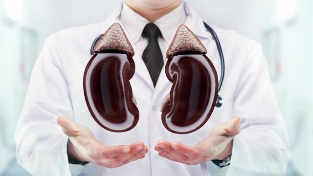 “补肾”,不能一味地追求“补”,选对方法很关键! 鹿血片 第2张 “补肾”,不能一味地追求“补”,选对方法很关键! 鹿血片 第2张