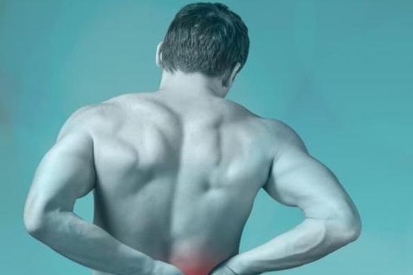 男性“腰肾”疲软,1个中药食疗方,日常吃点,年轻力壮精神好! 鹿血片 第1张 男性“腰肾”疲软,1个中药食疗方,日常吃点,年轻力壮精神好! 鹿血片 第1张