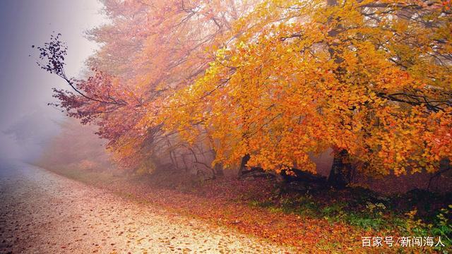 天气渐凉,男人怎么补,女人怎么吃才会有好的体魄和身材 鹿血片 第1张 天气渐凉,男人怎么补,女人怎么吃才会有好的体魄和身材 鹿血片 第1张