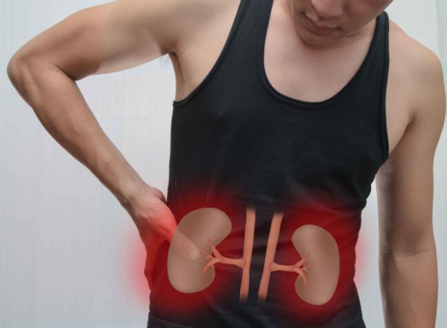 肾不好,身体会有多种表现,经常做两个动作,改善肾脏不适 鹿血片 第1张 肾不好,身体会有多种表现,经常做两个动作,改善肾脏不适 鹿血片 第1张