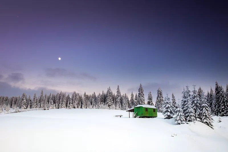 立冬是补身体的最佳时机，推荐几款养生菜补补你的肾 鹿血片 第1张