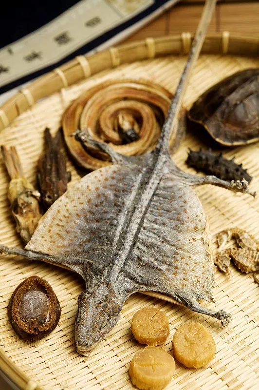 立冬是补身体的最佳时机，推荐几款养生菜补补你的肾 鹿血片 第19张