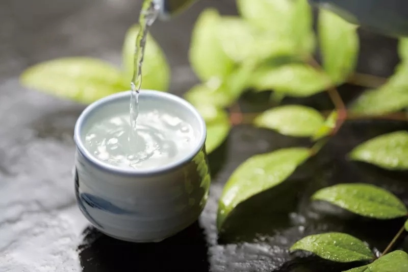 立冬是补身体的最佳时机，推荐几款养生菜补补你的肾 鹿血片 第26张