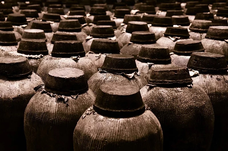 立冬是补身体的最佳时机，推荐几款养生菜补补你的肾 鹿血片 第22张