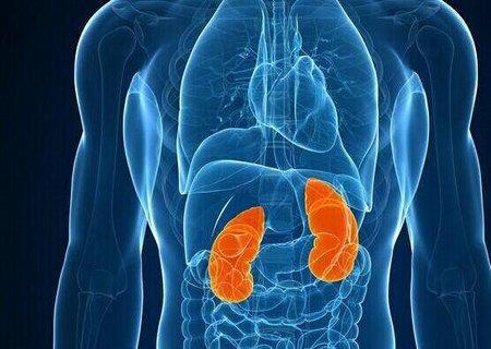 养好我们的先天之本,方可健康一生 鹿血片 第1张 养好我们的先天之本,方可健康一生 鹿血片 第1张