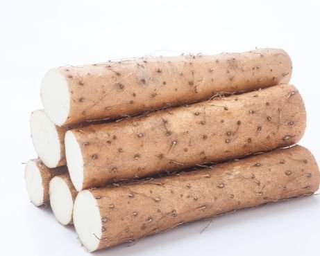 关于养肾你都有哪些了解?这五种食物才是养肾的食物! 鹿血片 第1张 关于养肾你都有哪些了解?这五种食物才是养肾的食物! 鹿血片 第1张