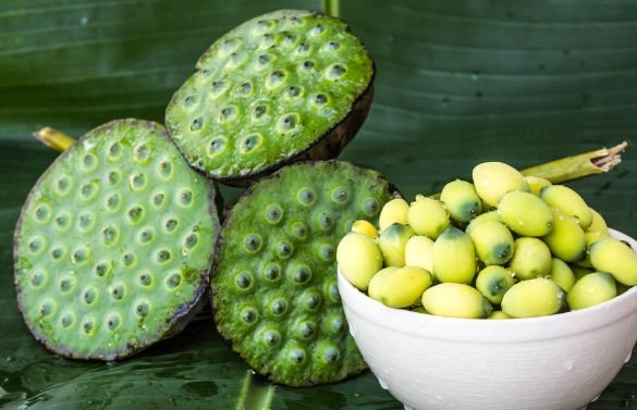 关于养肾你都有哪些了解?这五种食物才是养肾的食物! 鹿血片 第2张 关于养肾你都有哪些了解?这五种食物才是养肾的食物! 鹿血片 第2张