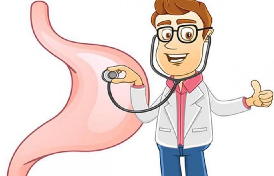 立秋后,坚持每天吃此物,3个好处慢慢靠近你,早知早好 鹿血片 第1张 立秋后,坚持每天吃此物,3个好处慢慢靠近你,早知早好 鹿血片 第1张