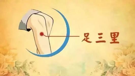 深秋养胃,5种食物,3个穴位,收获健康好胃! 鹿血片 第4张 深秋养胃,5种食物,3个穴位,收获健康好胃! 鹿血片 第4张