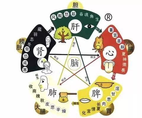 如何养护肝脾肾?简单的艾灸调养方法记得收藏 鹿血片 第1张 如何养护肝脾肾?简单的艾灸调养方法记得收藏 鹿血片 第1张