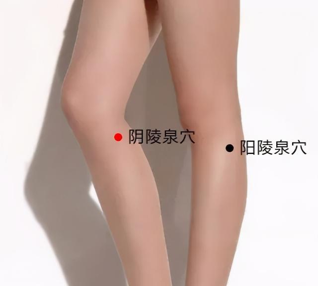 如何养护肝脾肾?简单的艾灸调养方法记得收藏 鹿血片 第8张 如何养护肝脾肾?简单的艾灸调养方法记得收藏 鹿血片 第8张