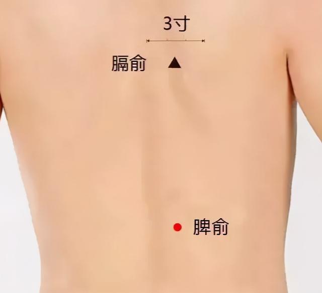 如何养护肝脾肾?简单的艾灸调养方法记得收藏 鹿血片 第6张 如何养护肝脾肾?简单的艾灸调养方法记得收藏 鹿血片 第6张