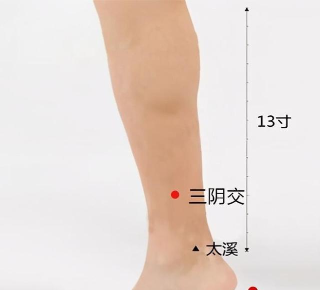 如何养护肝脾肾?简单的艾灸调养方法记得收藏 鹿血片 第7张 如何养护肝脾肾?简单的艾灸调养方法记得收藏 鹿血片 第7张