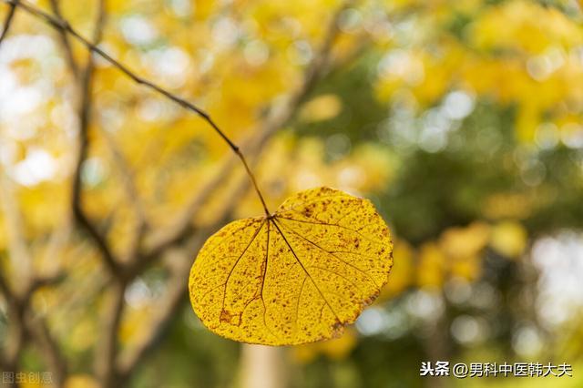 人如树,肾如根,日常生活中该如何养肾护肾? 鹿血片 第2张 人如树,肾如根,日常生活中该如何养肾护肾? 鹿血片 第2张