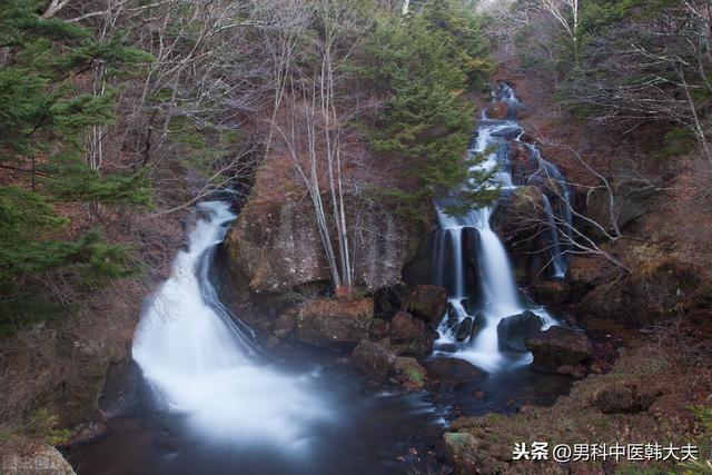 人如树,肾如根,日常生活中该如何养肾护肾? 鹿血片 第4张 人如树,肾如根,日常生活中该如何养肾护肾? 鹿血片 第4张
