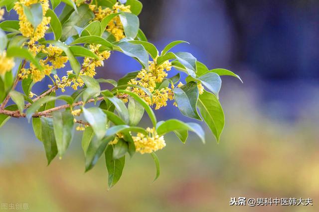 人如树,肾如根,日常生活中该如何养肾护肾? 鹿血片 第5张 人如树,肾如根,日常生活中该如何养肾护肾? 鹿血片 第5张