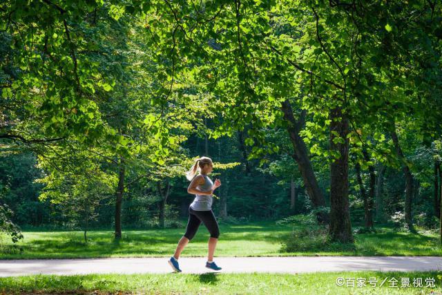 这三种便宜的蔬菜是补肾“好物”,经常吃上一些,助补肾气 鹿血片 第4张 这三种便宜的蔬菜是补肾“好物”,经常吃上一些,助补肾气 鹿血片 第4张